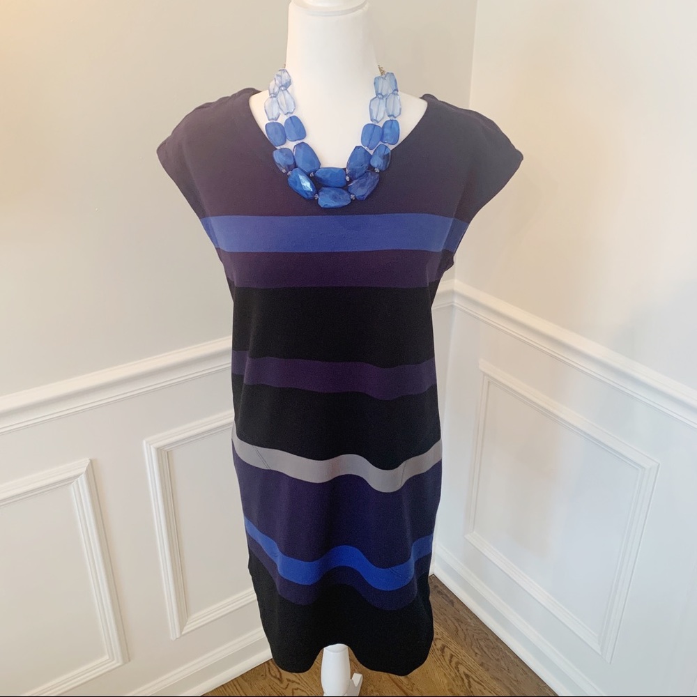 Max Studio Sheath Sm w/ FREE necklace.